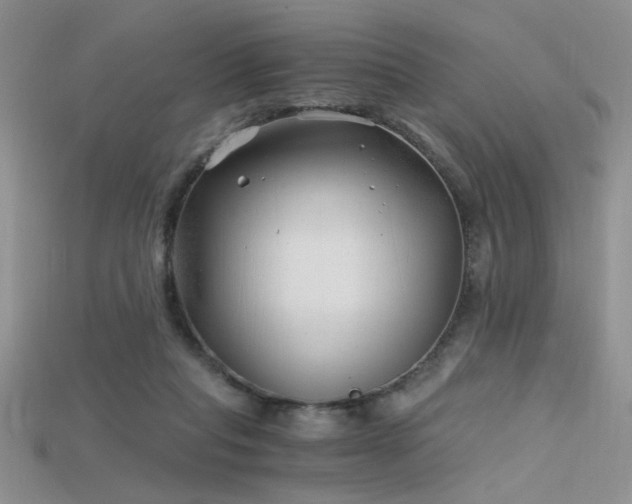 X0000115680261200911121252