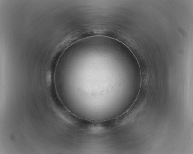 X0000115680262200911121252