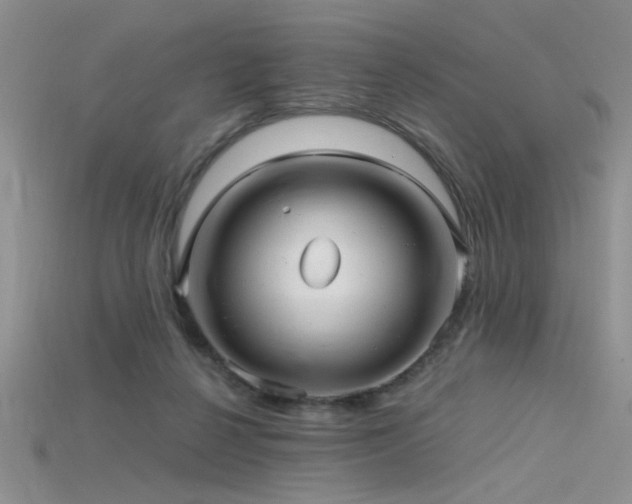 X0000115680264200911121252