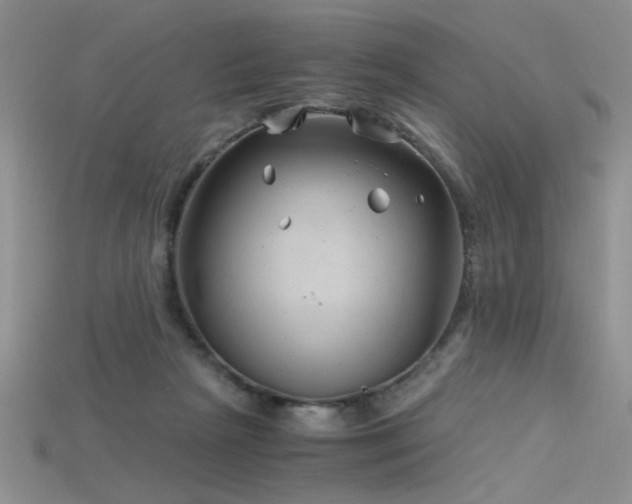 X0000115680265200911121252