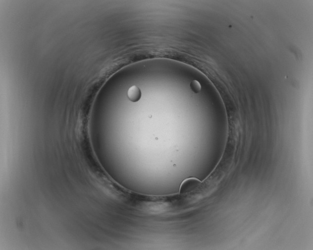 X0000115680266200911121253