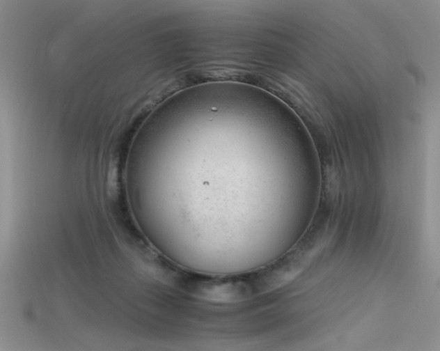 X0000115680267200911121253