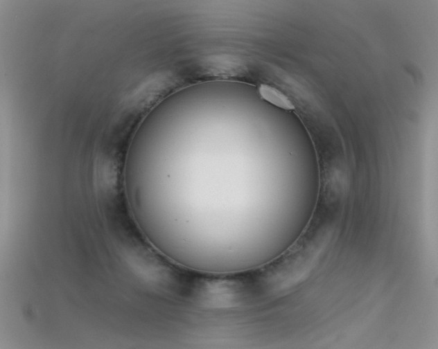 X0000115680268200911121253