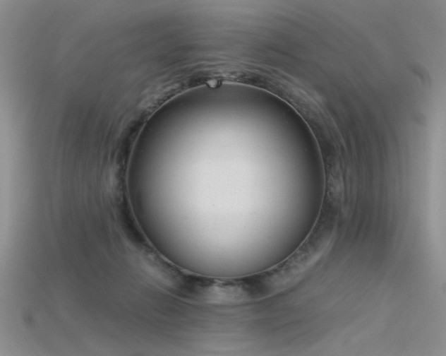 X0000115680270200911121253