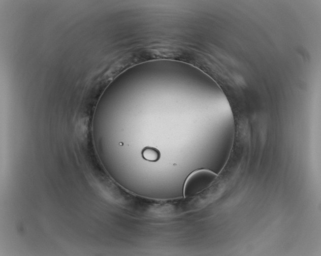 X0000115680271200911121253