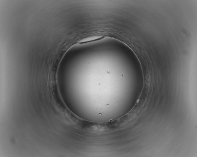 X0000115680272200911121253