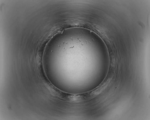 X0000115680273200911121253