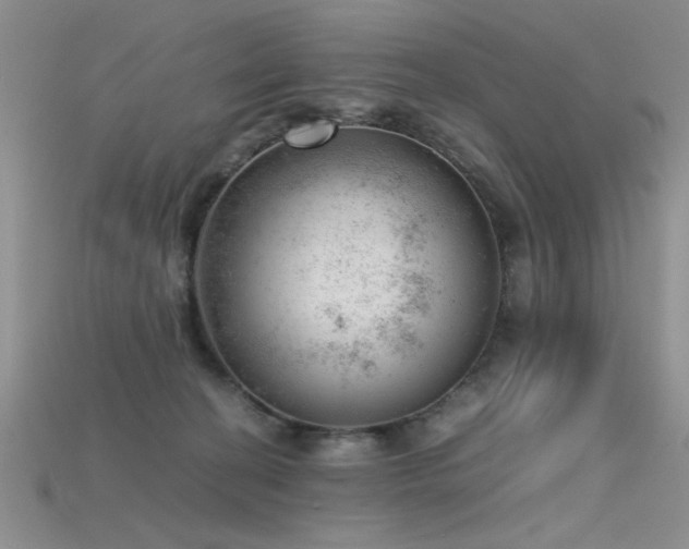 X0000115680274200911121253