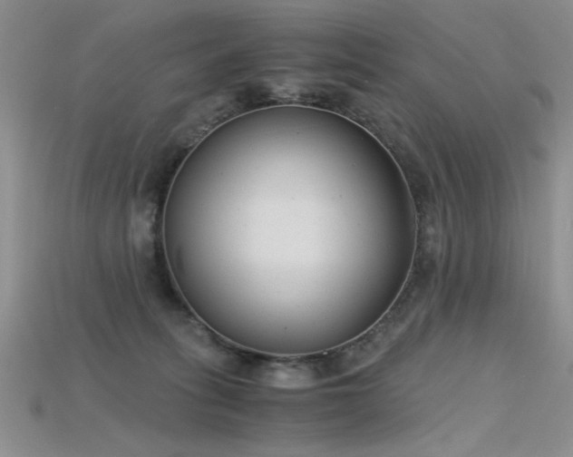 X0000115680275200911121253