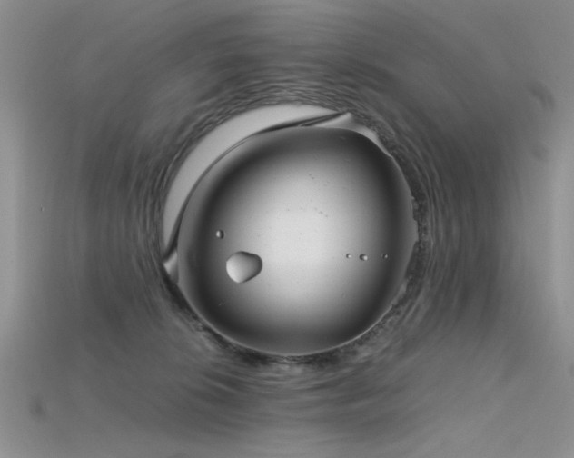 X0000115680276200911121253