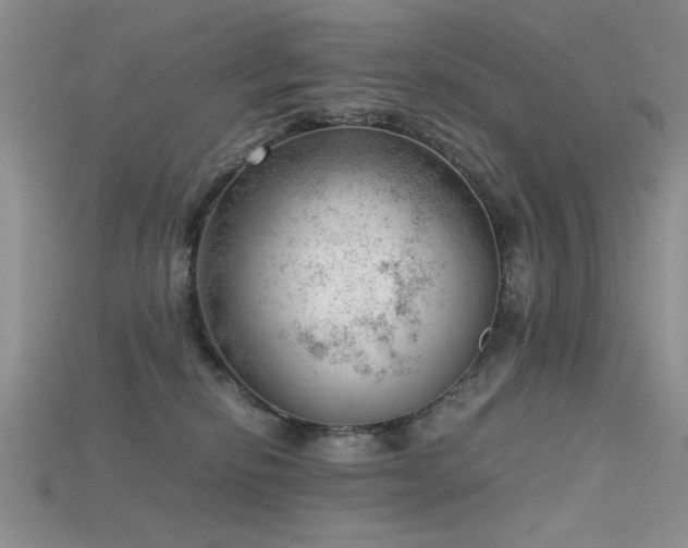 X0000115680278200911121253