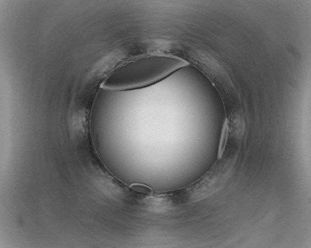 X0000115680280200911121253