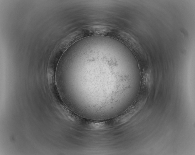 X0000115680283200911121253