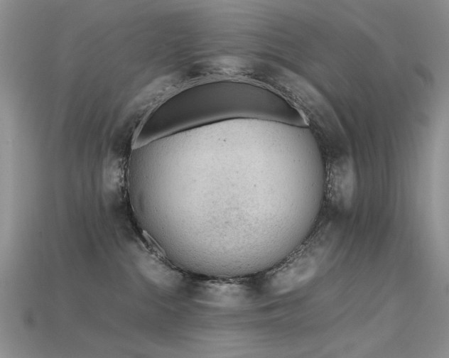 X0000115680284200911121253