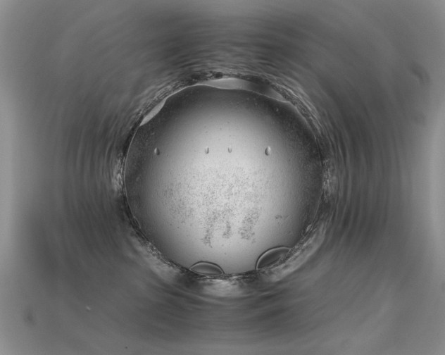 X0000115680285200911121253