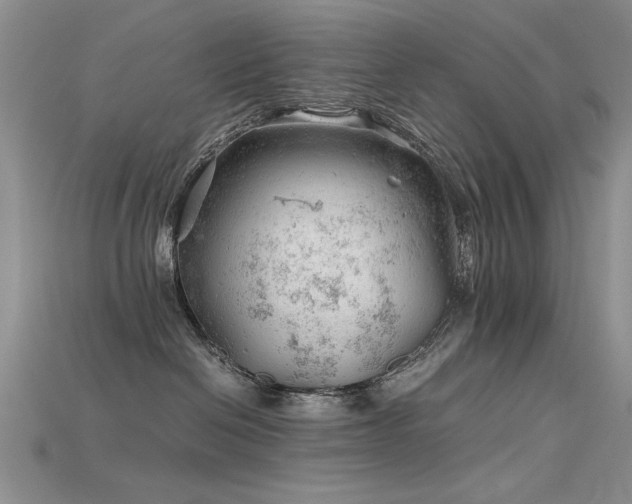 X0000115680286200911121253