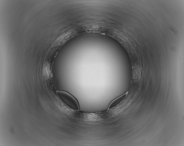 X0000115680287200911121253