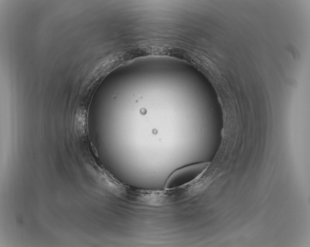 X0000115680288200911121253