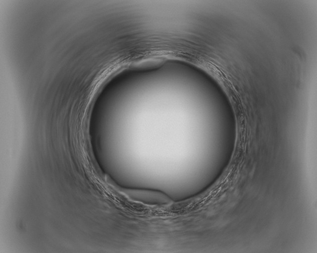 X0000115680289200911121252