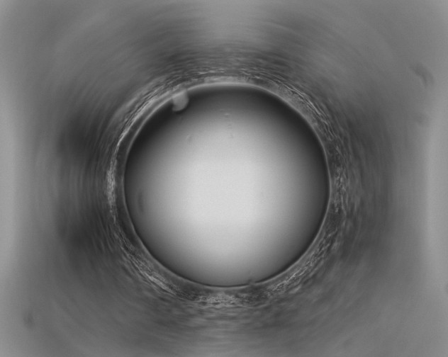 X0000115680290200911121252