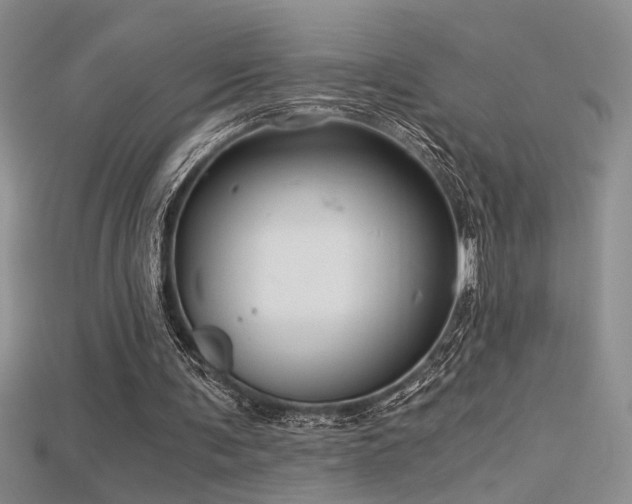 X0000115680291200911121252