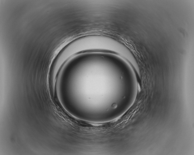 X0000115680292200911121252