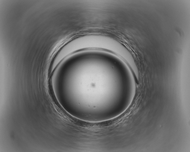 X0000115680293200911121252