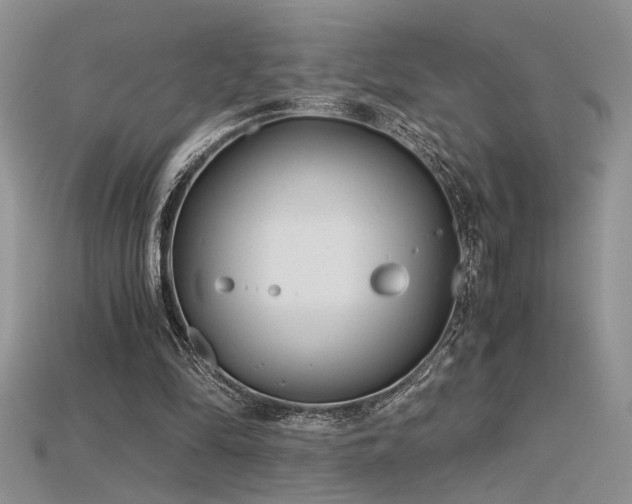 X0000115680294200911121252