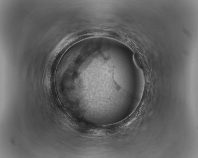 X0000115680295200911121252