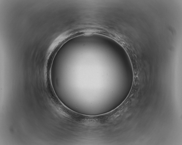 X0000115680296200911121252