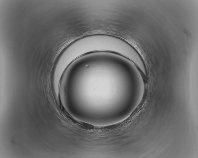 X0000115680297200911121252