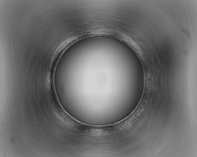 X0000115680298200911121252