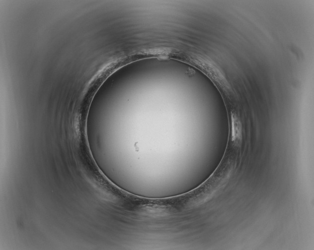 X0000115680300200911121252