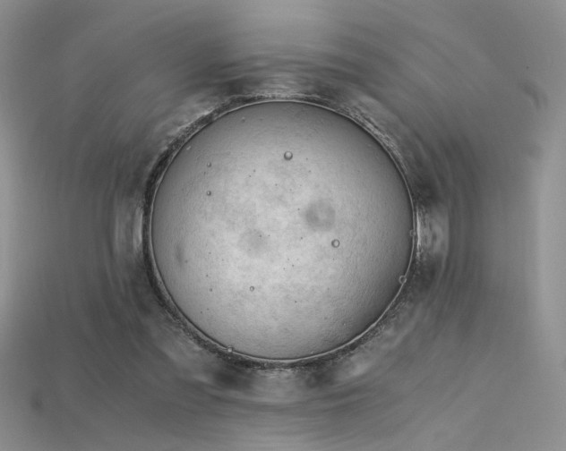 X0000115680301200911121252