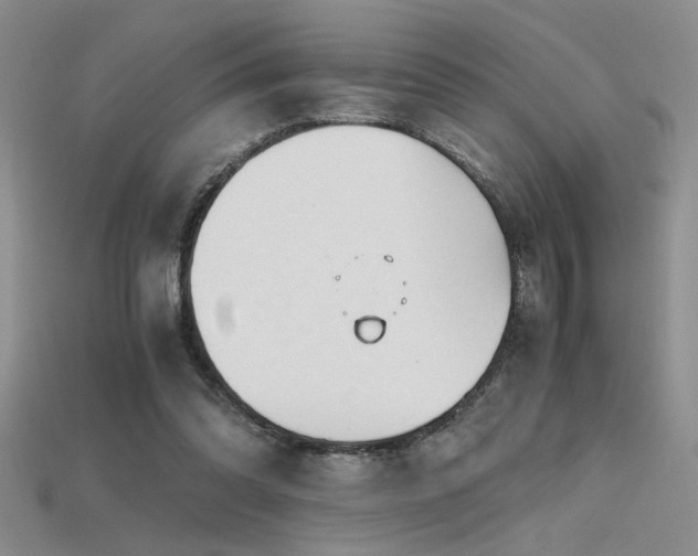 X0000115680302200911121252