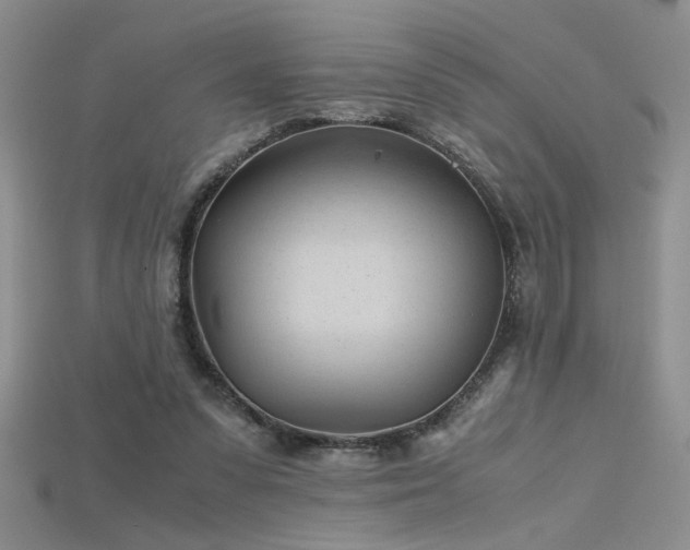 X0000115680303200911121252