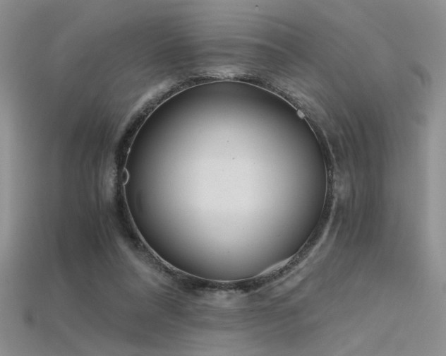 X0000115680304200911121252