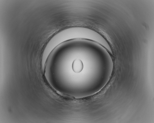 X0000115680305200911121252