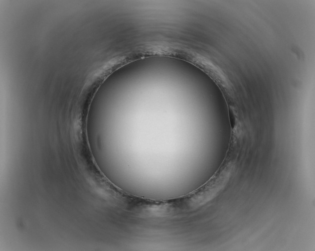 X0000115680306200911121252