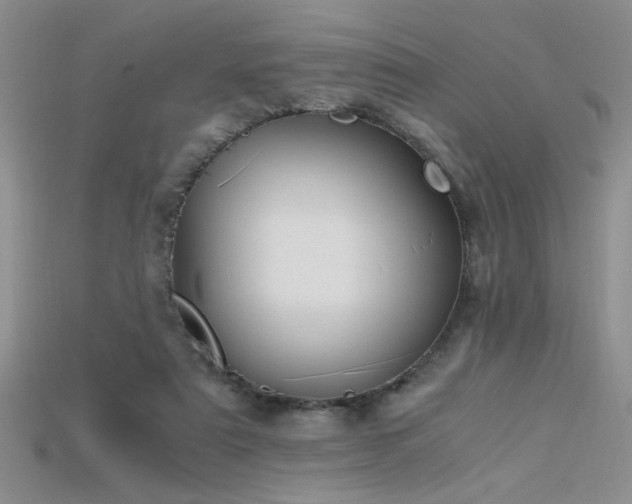 X0000115680307200911121252