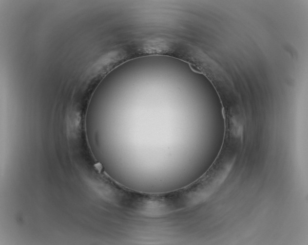 X0000115680308200911121252