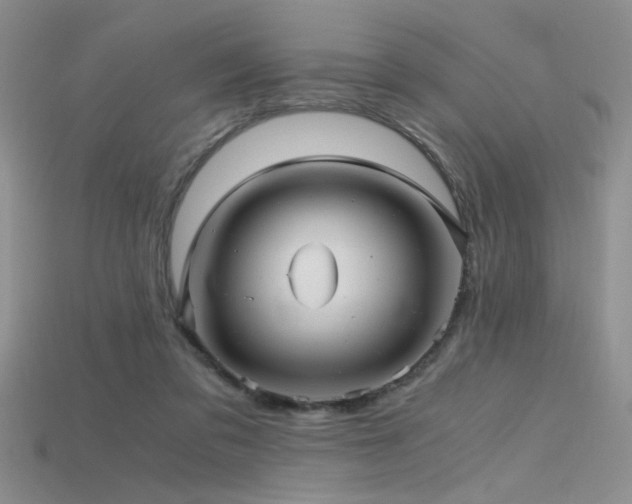 X0000115680309200911121252