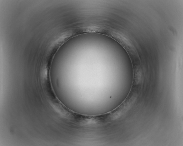 X0000115680310200911121252