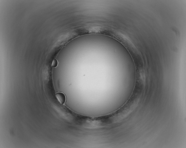 X0000115680311200911121252