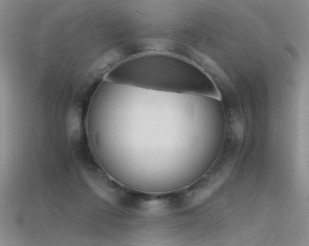 X0000115680312200911121252