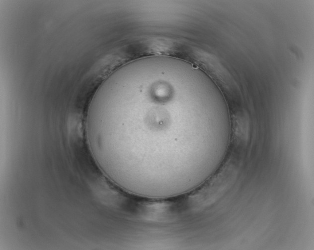 X0000115680313200911121252