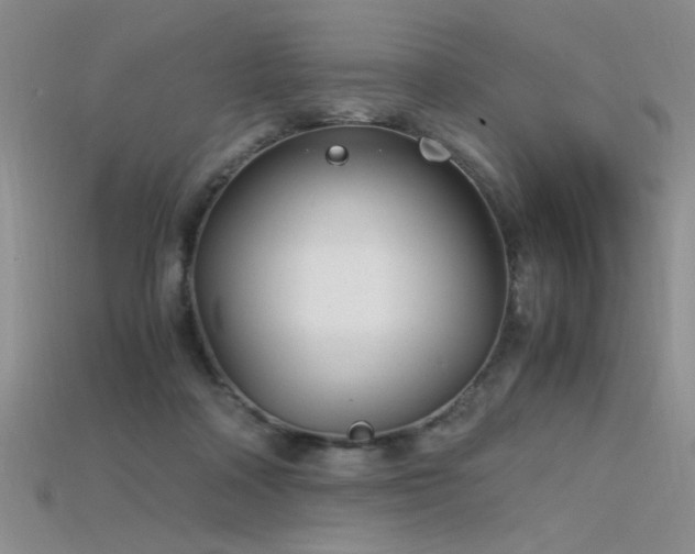 X0000115680314200911121252