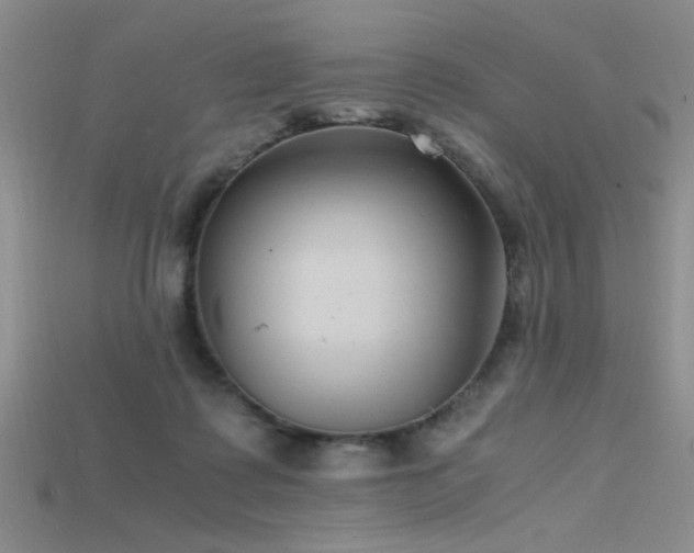 X0000115680315200911121252