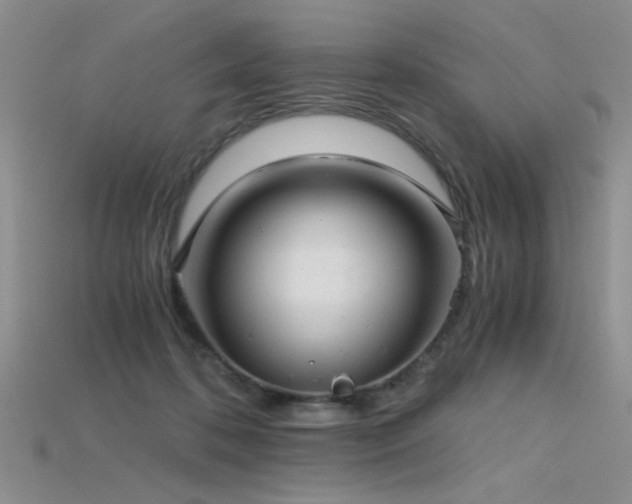 X0000115680316200911121252