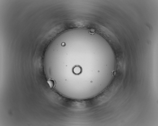 X0000115680317200911121252